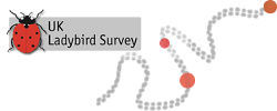 Survey website