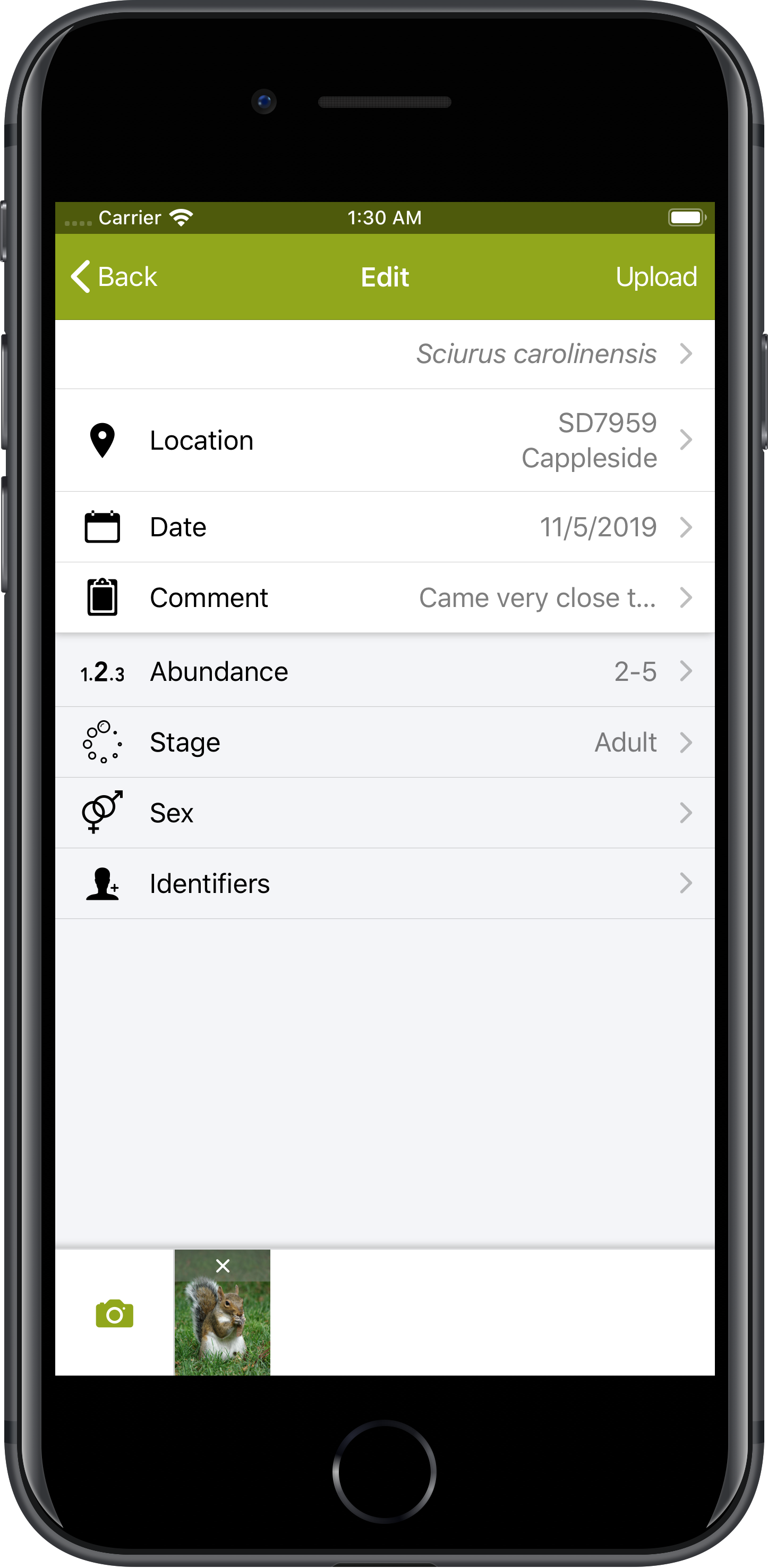 Screenshot of iRecord App